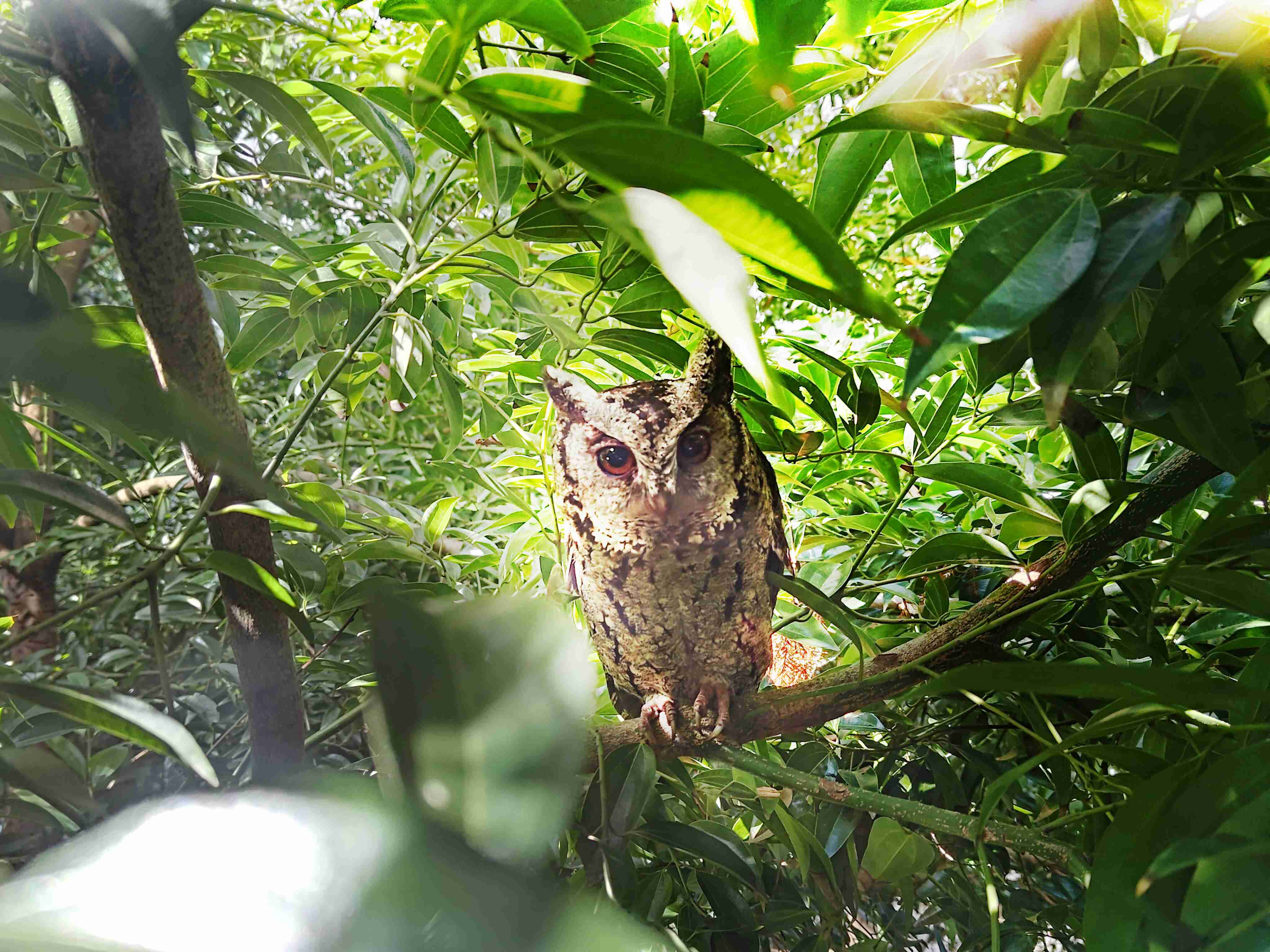 万利致力提倡净零绿生活，，，，16年以来在全球各厂区植树逾百万棵，，造就各厂区树木蔚然成林，，犹如森林工厂，，，，成为许多生物的栖息地